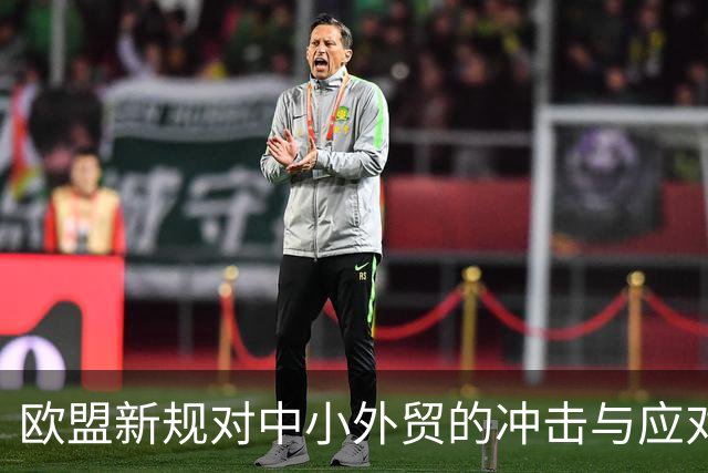 欧盟新规对中小外贸的冲击与应对